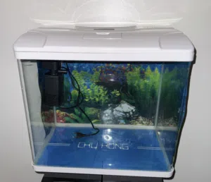 Fish AQUARIUM