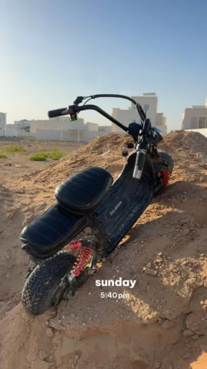 هارلي للبيع