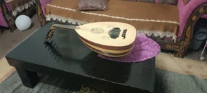 عود للبيع بنصف السعر