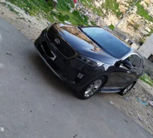 الجيب فلفل2018