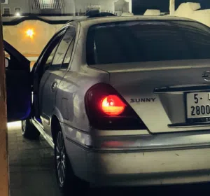 علي اشتيوي 
