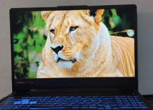 Asus tuf gaming Fa506a laptop rtx3050
