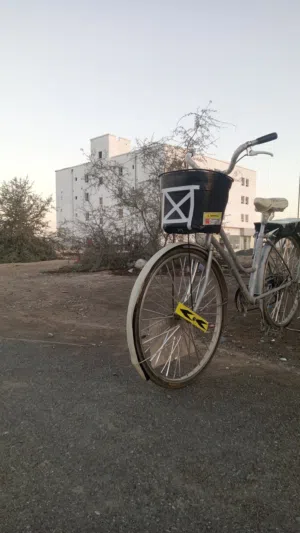 سيكل ياباني