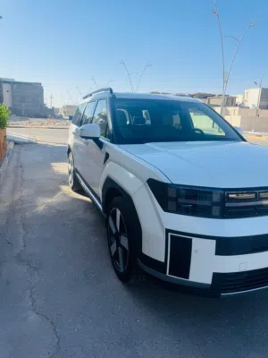 سنتافي موديل 2024 كفاله