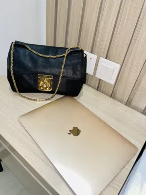 Preloved Authentic Chloé Elsie shoulder bag