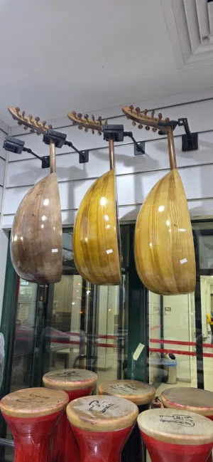 اعواد مصريه تعلميه
