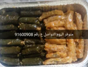 طبخات جاهزه
