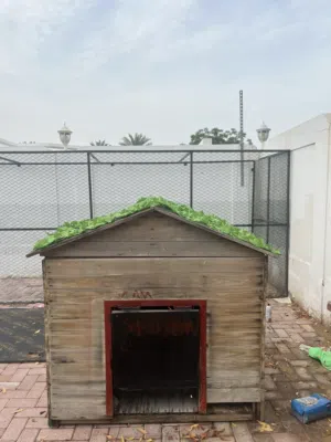 Dog house 1meterx1.2meter