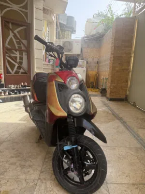 سكنس جبلي للبيع