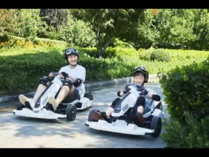 Ninebot Electric Go Kart - Kids and Adults (Unique)