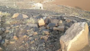 Residential Land for Sale in Sana'a Al-Ashash