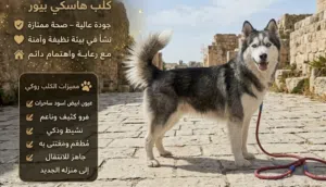 البيع لعدم التفرغ بسبب العمل • مقابل مركز امن الشمالي