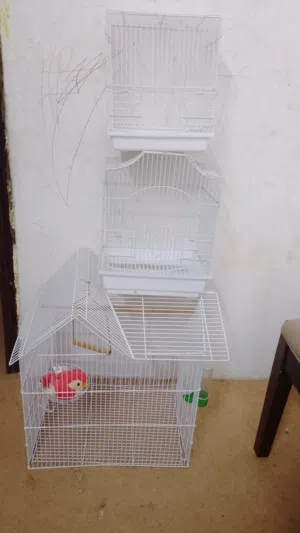 3 three bird cages