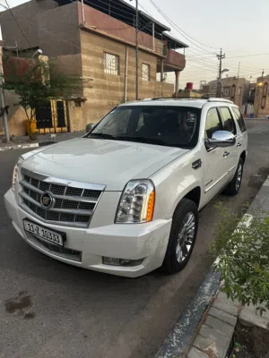 Used Cadillac Escalade in Basra