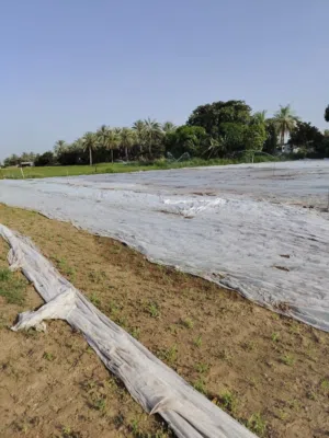 Farm Land for Rent in Al Batinah Suwaiq