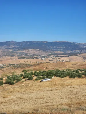 Farm Land for Sale in Jerash Kufair