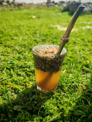 نواف ابوعبدالرحمن 