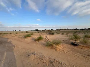 Residential Land for Sale in Sorman Al Hashiyah al Hamra'