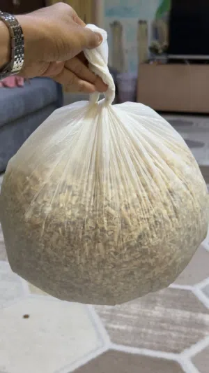 مستلزمات الهامستر