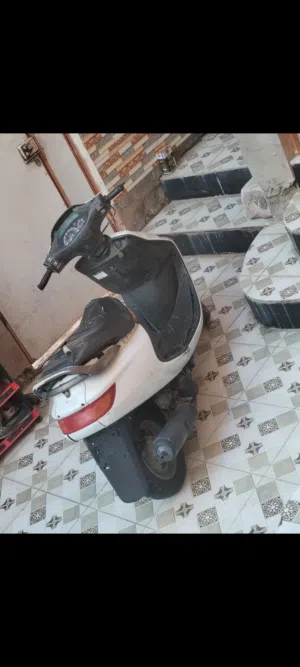 فراشه للبيع