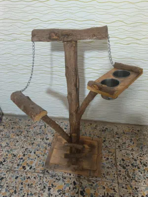 ستاند طيور