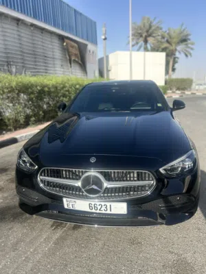 Mercedes c-class300. 2024