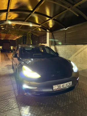 Used Tesla Model 3 in Zarqa