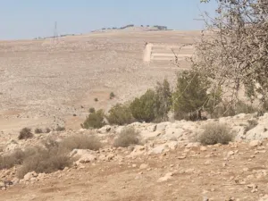 Farm Land for Sale in Salt Other