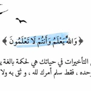 علي 