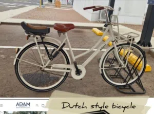 The Dutch Style 28 Adult Bicycle (White)- Adam Brand