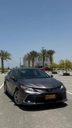 Toyota Camry 2020 XLE