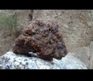 Khalis salajeet for power booster