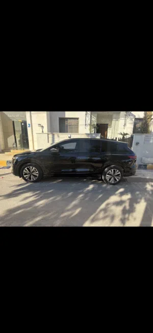 Audi Q5 2024  electric