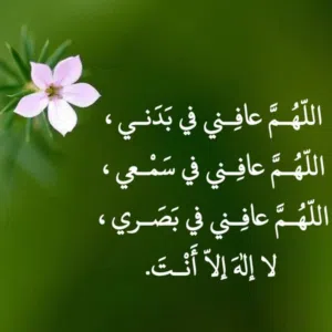 الحمدلله رب العالمين 