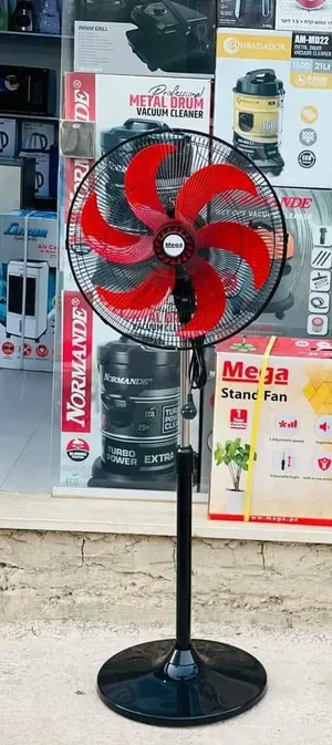 Fans . New4