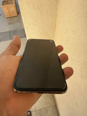 Apple . iPhone XS Max . 256 GB3