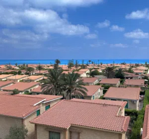 عبدالله محمد 