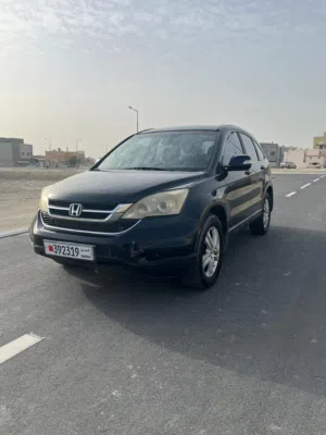 هوندا CR-V