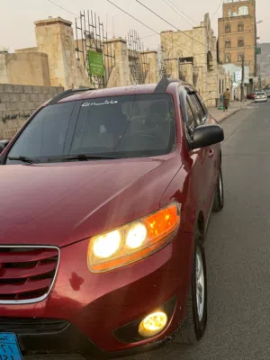 يوسف احمد علي