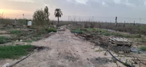 قطعة ارض 1.250 للبيع في المسحب