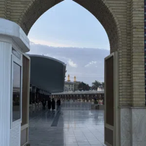 صفا حيدر محمدعلي 