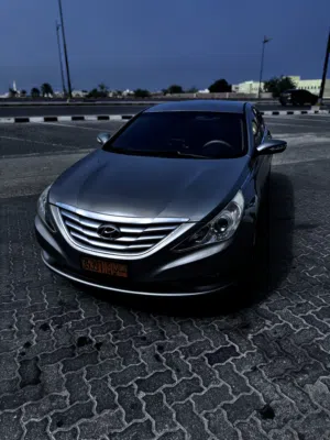SONATA 2011