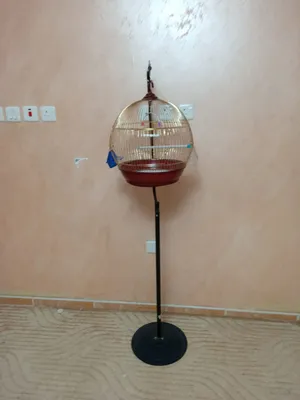 Accessories . Birds & Poultry1