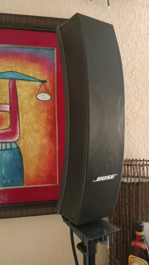 pair of bose speakers