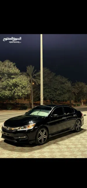 Used Honda Accord in Muscat