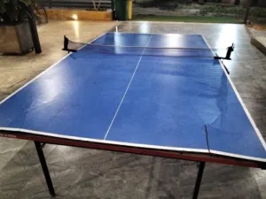 طاوله تنس نوع هندي