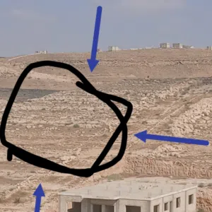 محمد 