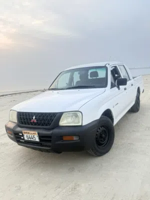 pick up 2004 model