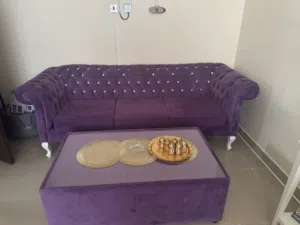 Living room set / couchs with tables