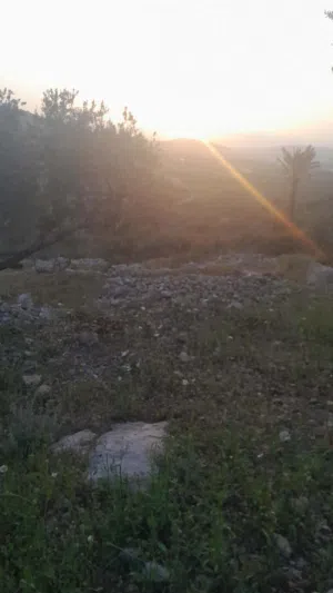 ارض للبيع الخليل - البويره